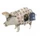 Iron pig candleholder 50x36cm (5347)