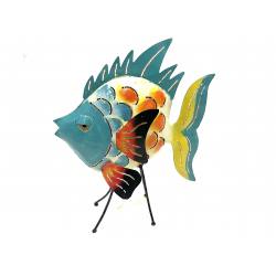 Fish Dorang S (3991)